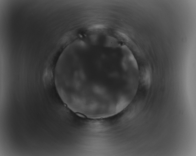 X0000088470523200706191350