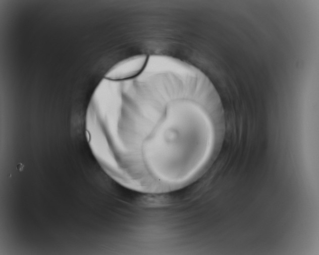 X0000088470526200706191350