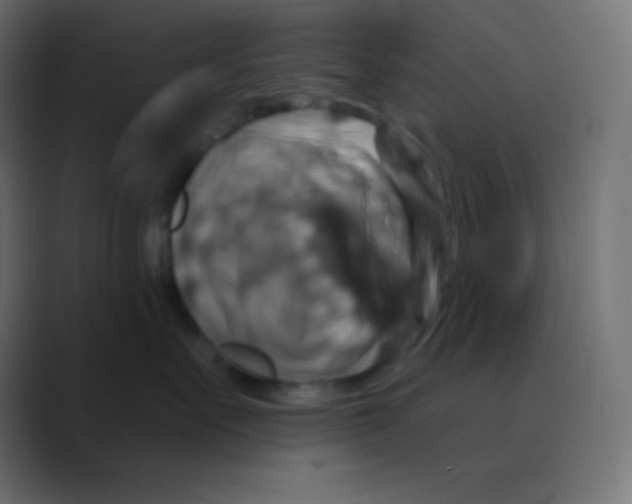 X0000088470527200706191350