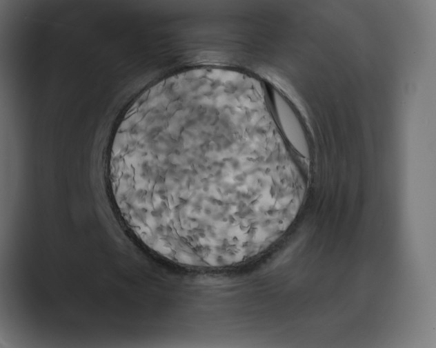 X0000088470529200706191349
