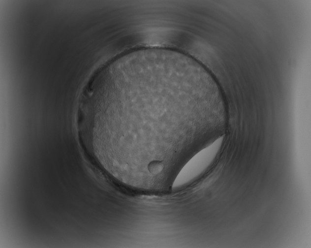 X0000088470530200706191349