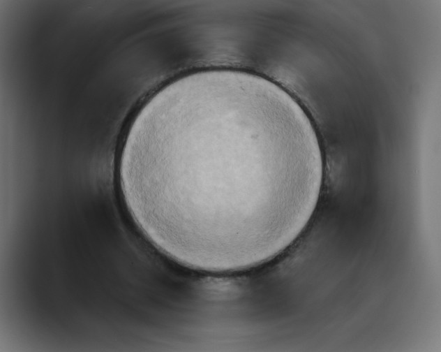 X0000088470534200706191350