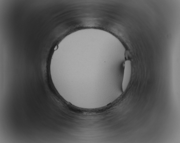 X0000088470535200706191350
