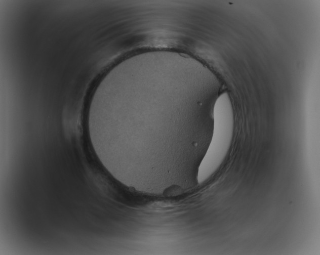 X0000088470536200706191350
