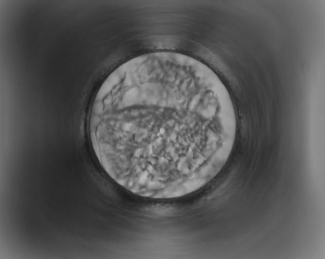 X0000088470537200706191350