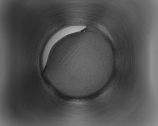 X0000088470538200706191350