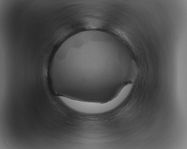 X0000088470539200706191350