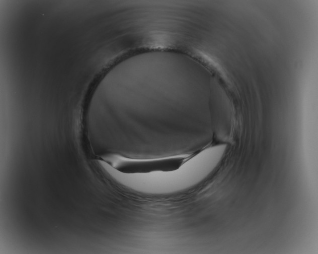 X0000088470540200706191350