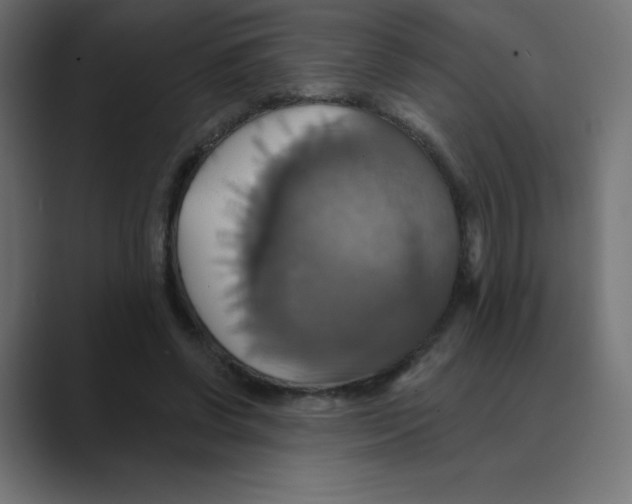 X0000088470542200706191350