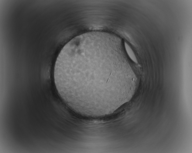 X0000088470543200706191350