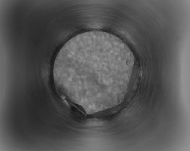 X0000088470544200706191350