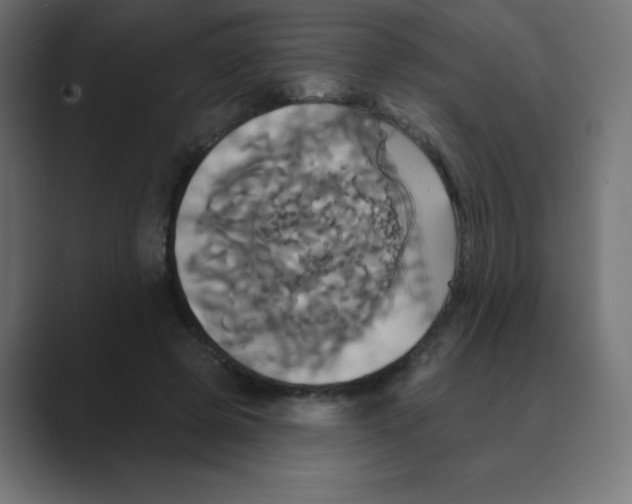 X0000088470545200706191350