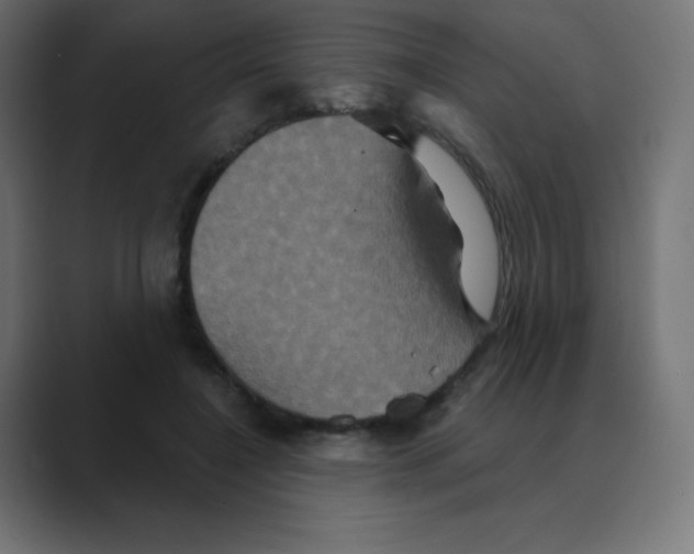 X0000088470548200706191350