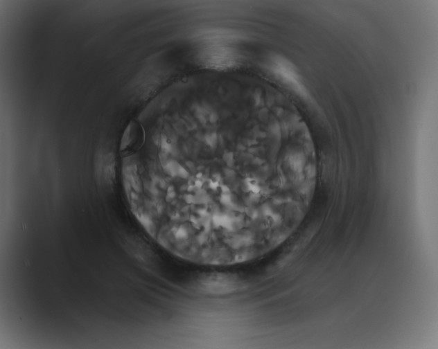 X0000088470549200706191350