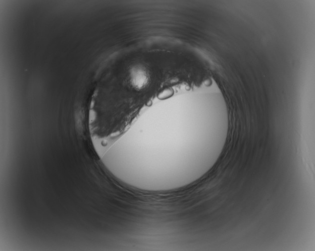 X0000088470550200706191350