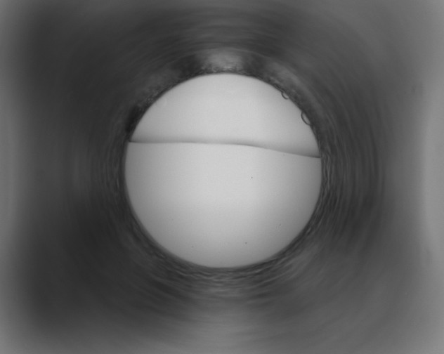 X0000088470551200706191350