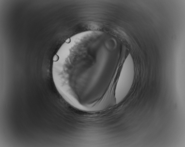 X0000088470553200706191350