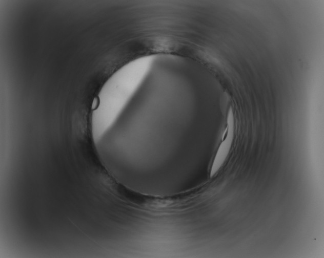 X0000088470554200706191350