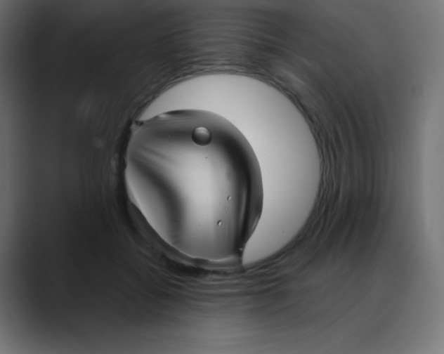 X0000088470556200706191350