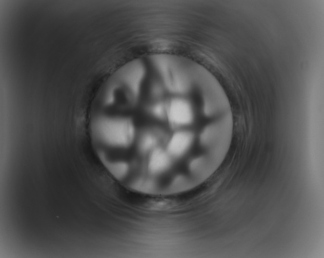 X0000088470557200706191350