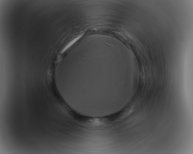 X0000088470558200706191350