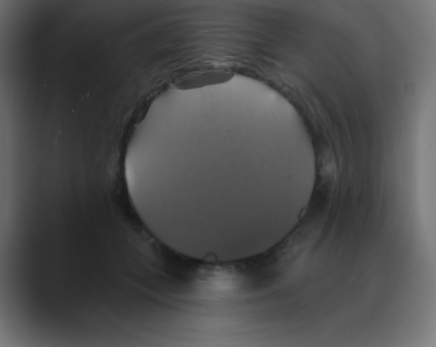 X0000088470559200706191350