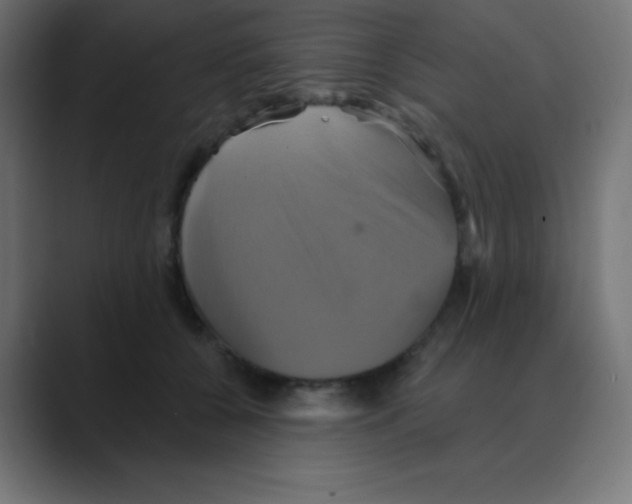 X0000088470560200706191350