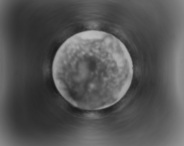 X0000088470561200706191350