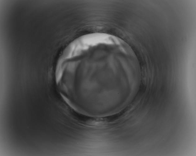 X0000088470563200706191350