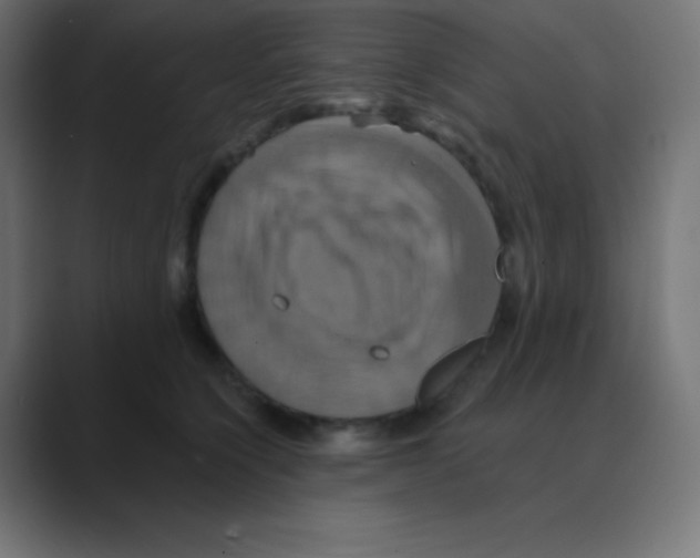 X0000088470564200706191350