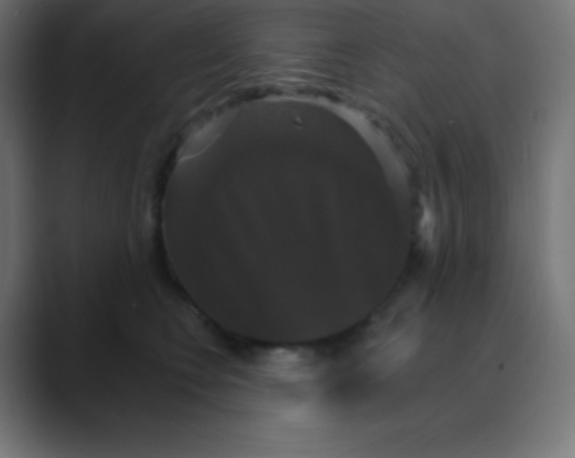 X0000088470566200706191350