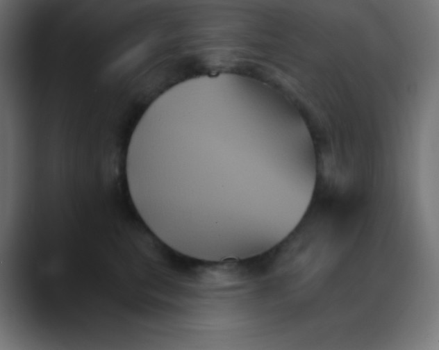 X0000088470567200706191350