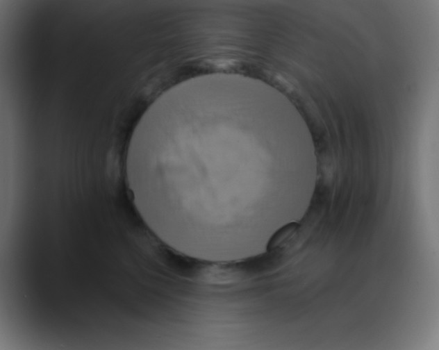 X0000088470568200706191350