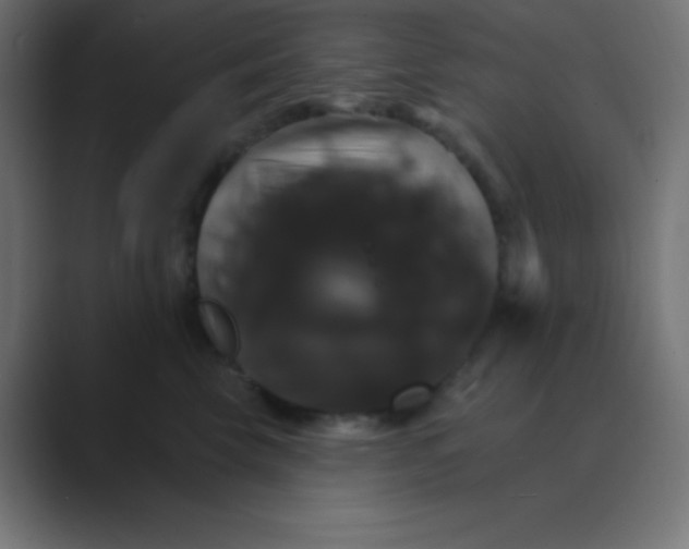 X0000088470569200706191350