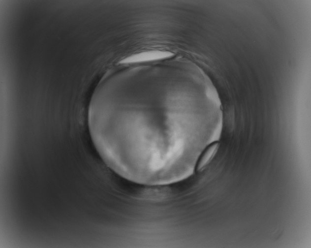 X0000088470571200706191350