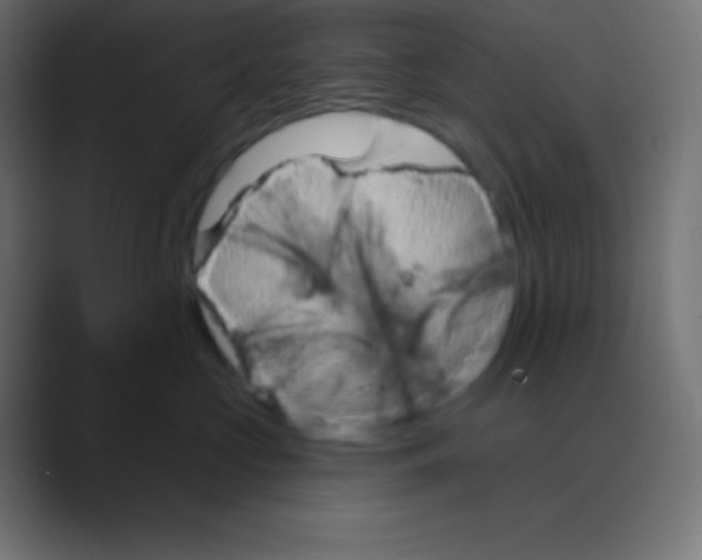 X0000088470573200706191350