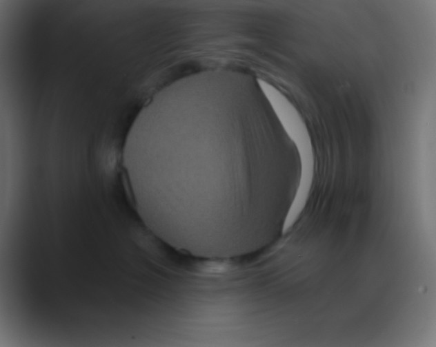 X0000088470574200706191350