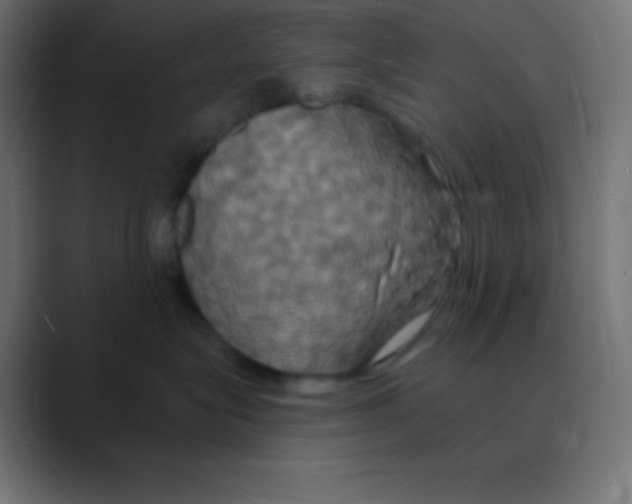 X0000088470575200706191350