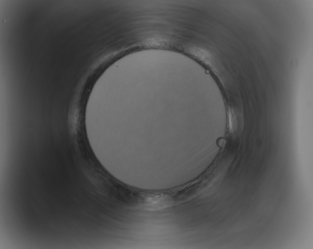 X0000088470579200706191349