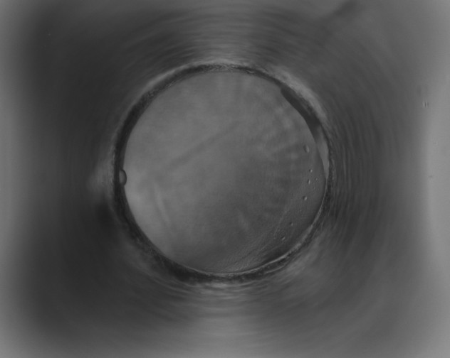 X0000088470580200706191349