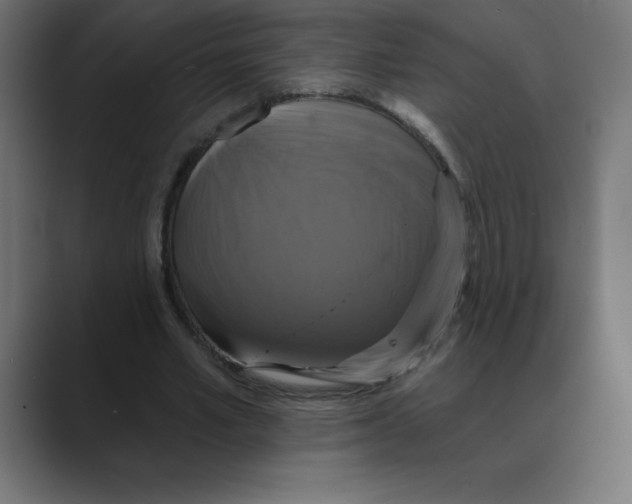 X0000088470581200706191349