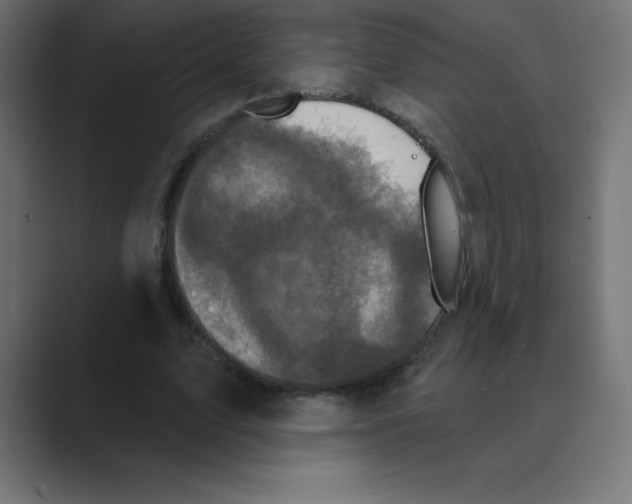 X0000088470583200706191349