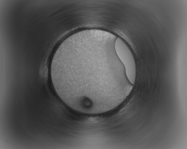 X0000088470584200706191349