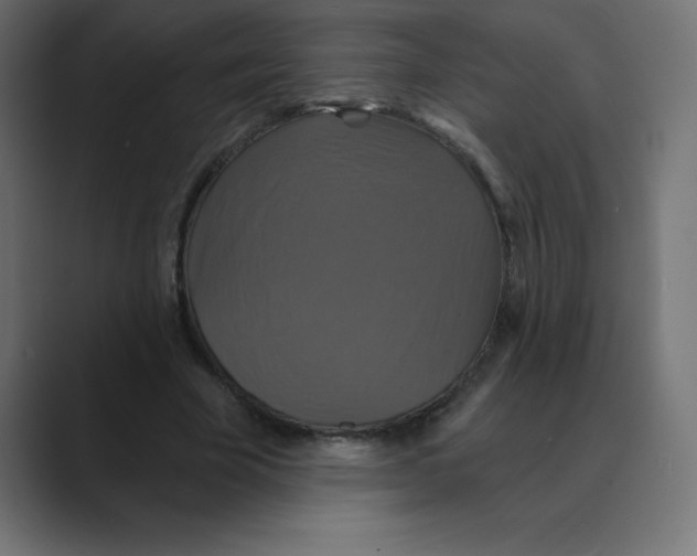X0000088470585200706191349
