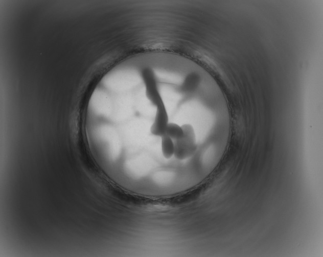 X0000088470586200706191349