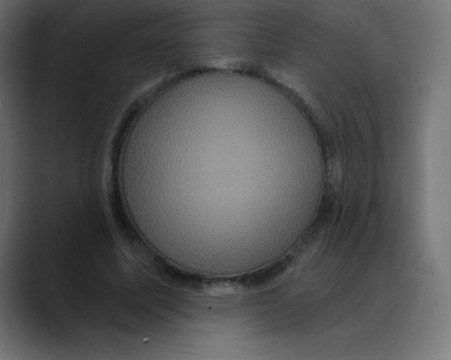 X0000088470587200706191349