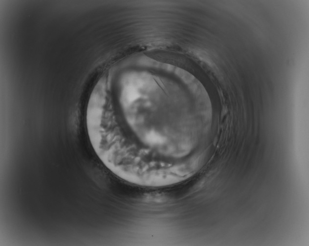 X0000088470591200706191349