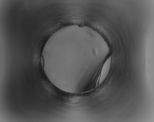 X0000088470593200706191349