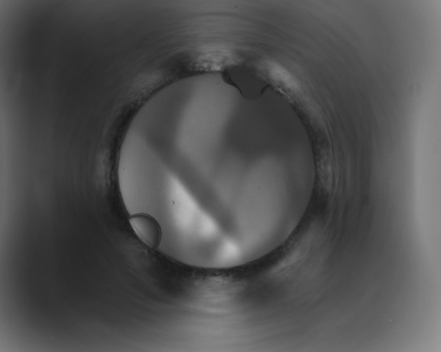 X0000088470594200706191349
