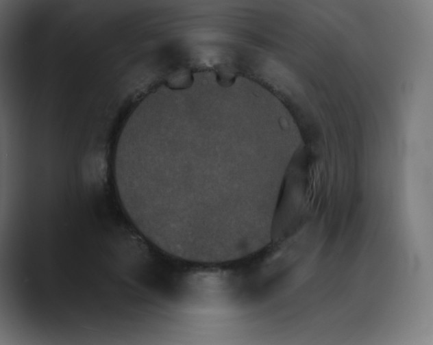 X0000088470595200706191349
